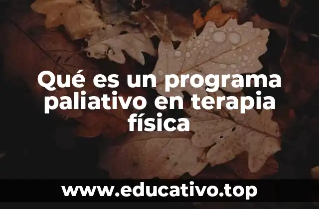 Qué es un programa paliativo en terapia física