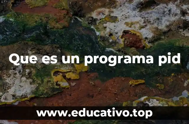 Que es un programa pid