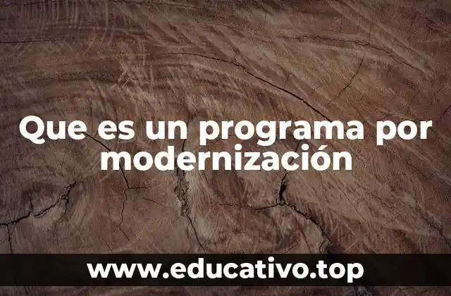 Que es un programa por modernización