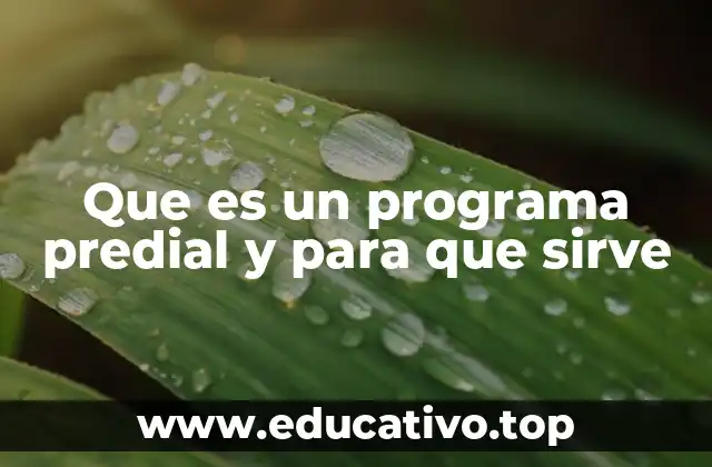 Que es un programa predial y para que sirve
