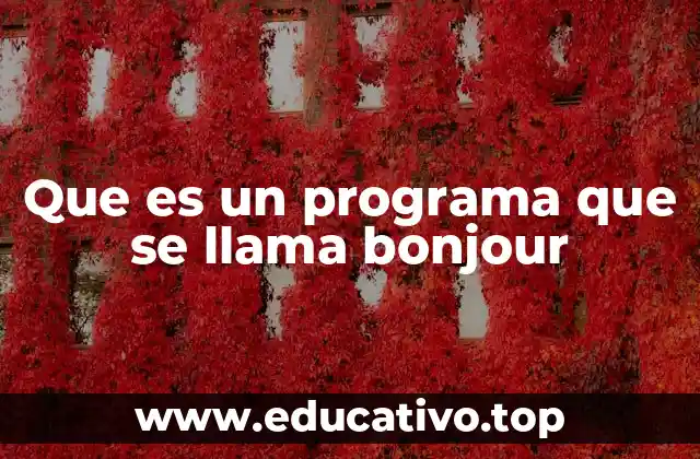 Que es un programa que se llama bonjour