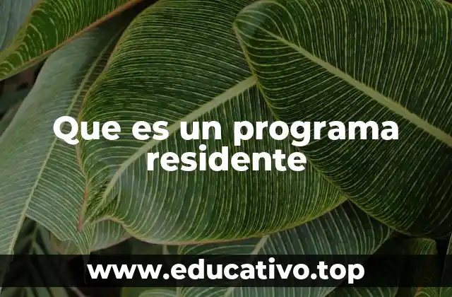 Que es un programa residente