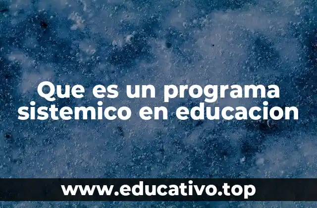Que es un programa sistemico en educacion