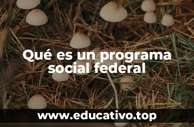 Qué es un programa social federal