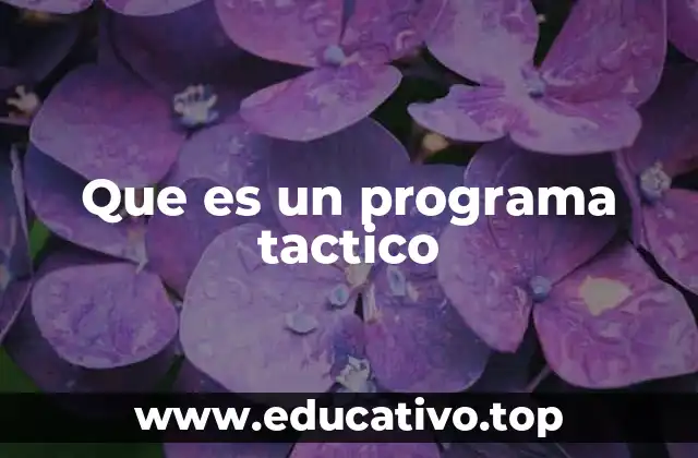 Que es un programa tactico
