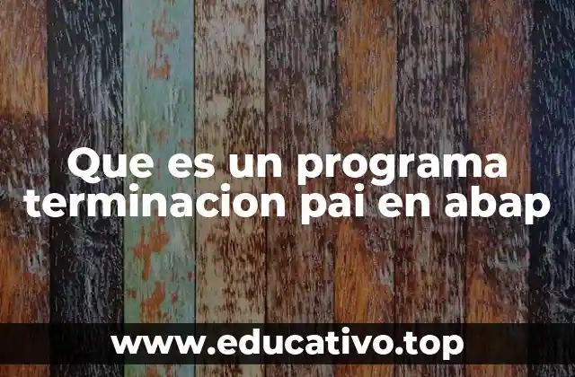 Que es un programa terminacion pai en abap