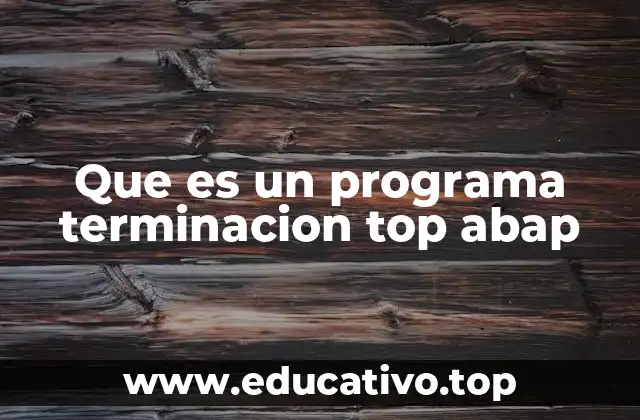 Que es un programa terminacion top abap