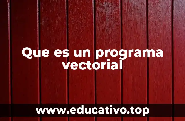 Que es un programa vectorial