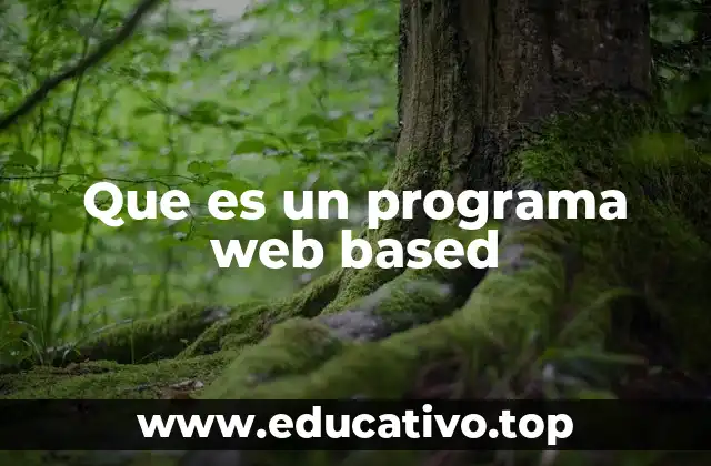 Que es un programa web based