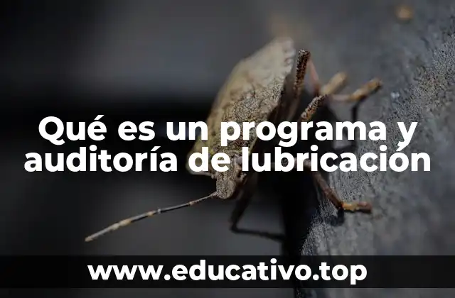 Qué es un programa y auditoría de lubricación