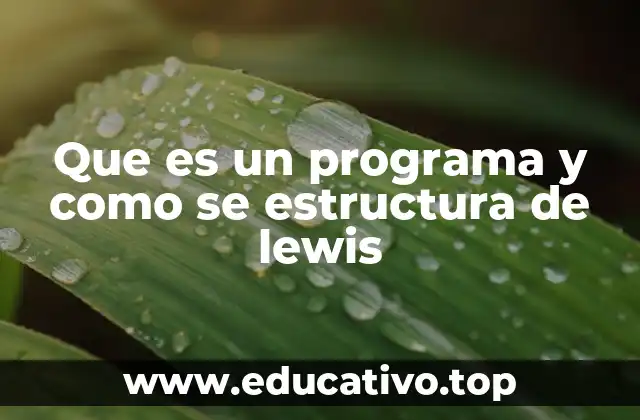Que es un programa y como se estructura de lewis