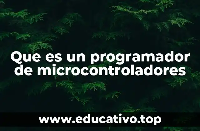 Que es un programador de microcontroladores