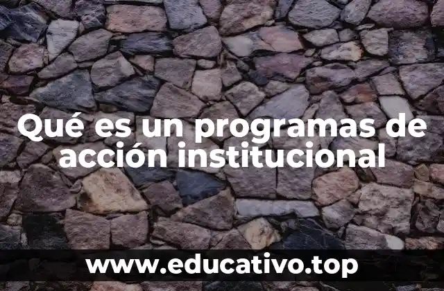Qué es un programas de acción institucional