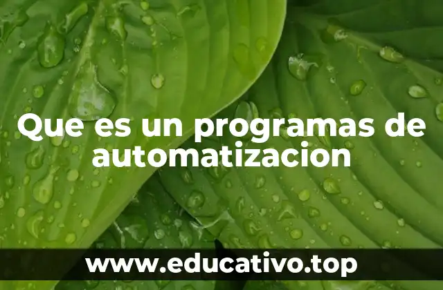Que es un programas de automatizacion