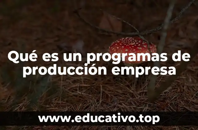 Qué es un programas de producción empresa