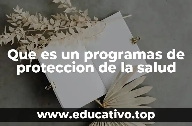 Que es un programas de proteccion de la salud