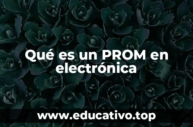 Qué es un PROM en electrónica