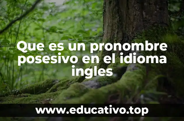 Que es un pronombre posesivo en el idioma ingles