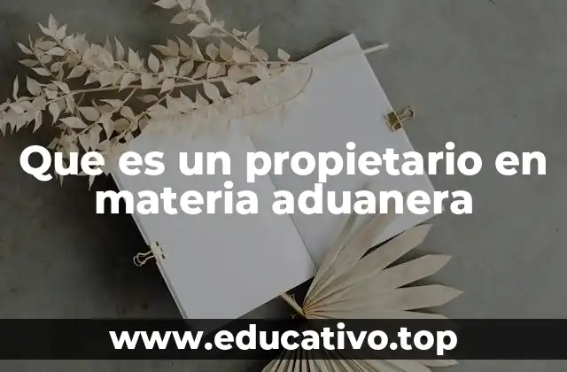 Que es un propietario en materia aduanera