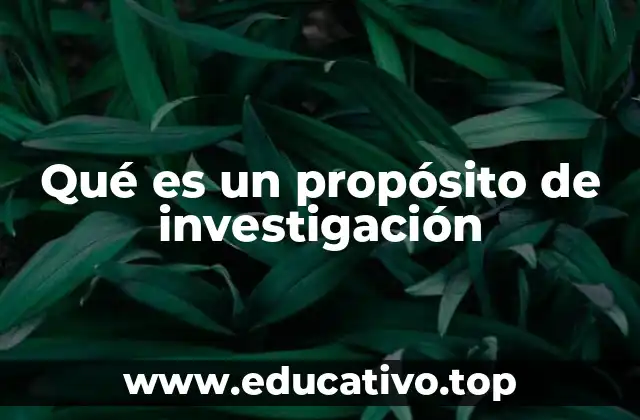 Qué es un propósito de investigación