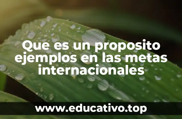 Que es un proposito ejemplos en las metas internacionales