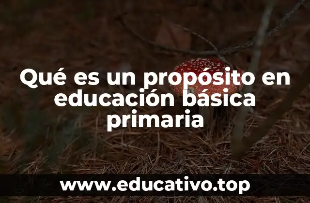 Qué es un propósito en educación básica primaria