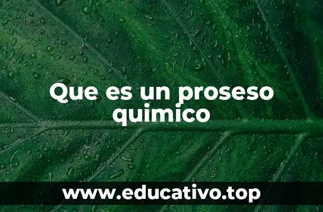Que es un proseso quimico