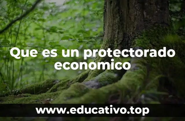 Que es un protectorado economico