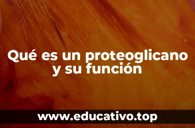 Qué es un proteoglicano y su función