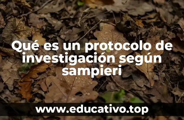 Qué es un protocolo de investigación según sampieri