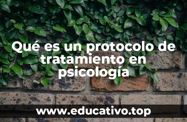 La importancia de los protocolos en la práctica psicológica