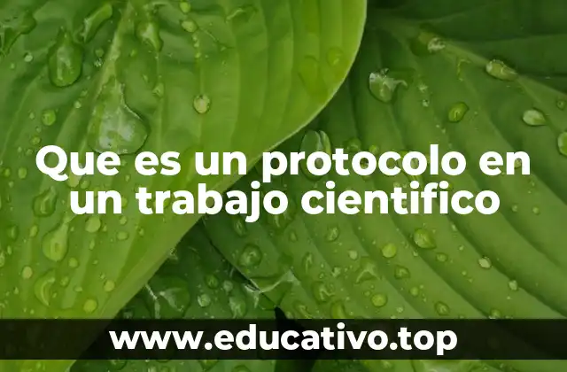 Que es un protocolo en un trabajo cientifico