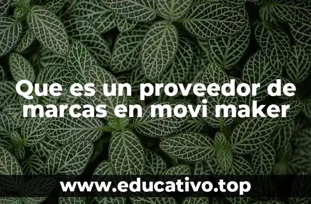 Que es un proveedor de marcas en movi maker