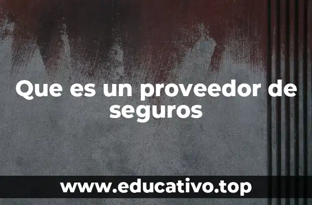 Que es un proveedor de seguros