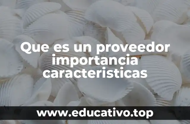 Que es un proveedor importancia caracteristicas