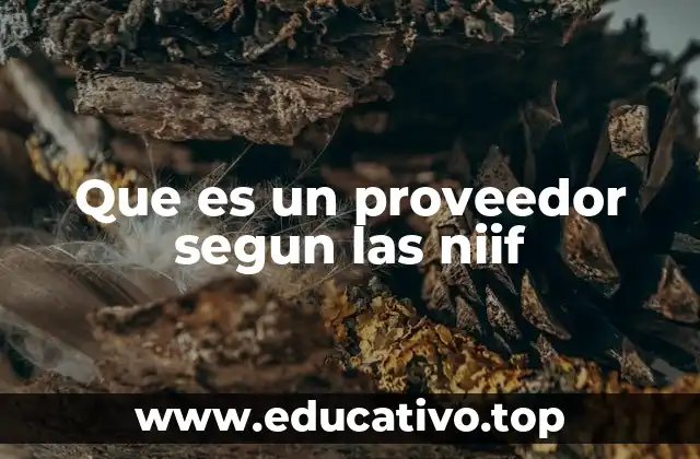 Que es un proveedor segun las niif