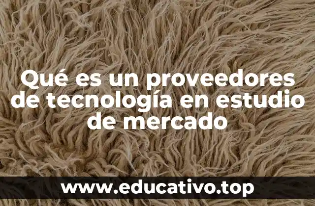 Qué es un proveedores de tecnología en estudio de mercado