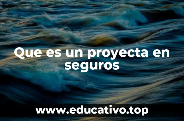 Que es un proyecta en seguros