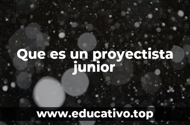 Que es un proyectista junior