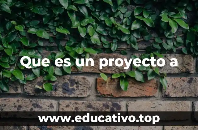 Que es un proyecto a