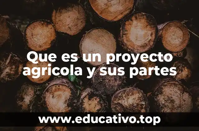 Que es un proyecto agricola y sus partes