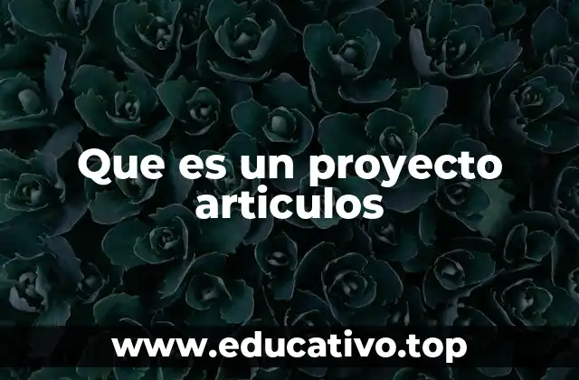 Que es un proyecto articulos