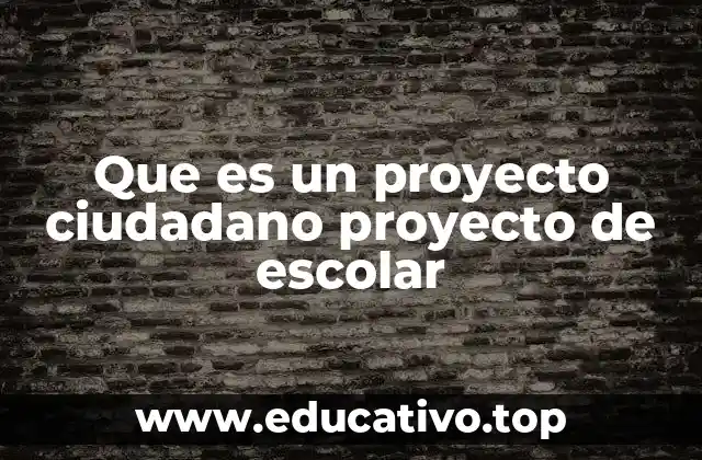 Que es un proyecto ciudadano proyecto de escolar
