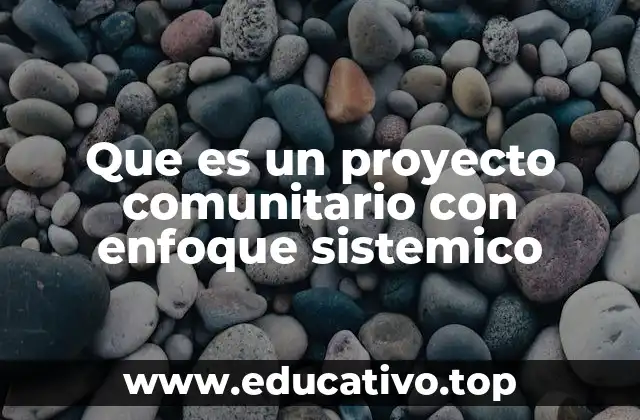 Que es un proyecto comunitario con enfoque sistemico