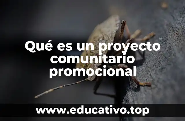 Qué es un proyecto comunitario promocional