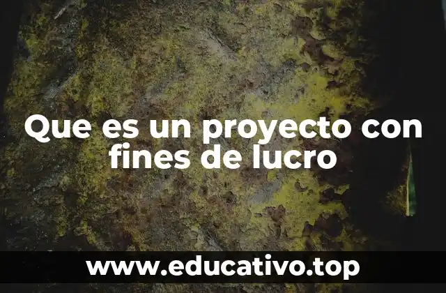 Que es un proyecto con fines de lucro