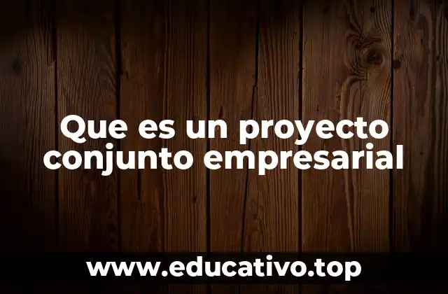 Que es un proyecto conjunto empresarial