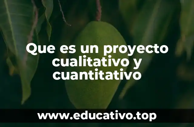 Que es un proyecto cualitativo y cuantitativo