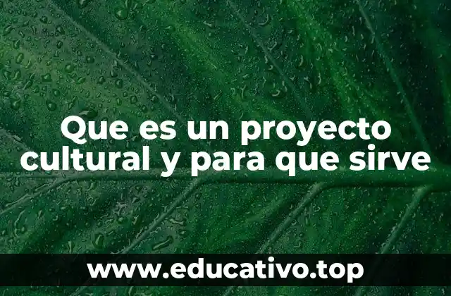 El rol de la cultura en la sociedad contemporánea