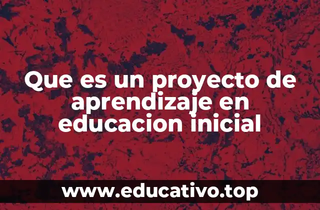 Que es un proyecto de aprendizaje en educacion inicial